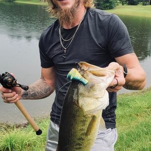 Meet your Posher, Joe